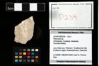 Foto (Objekt + Etikett) von Pithonoton sp.  (NHMW-GEO-2014-0194-0239)